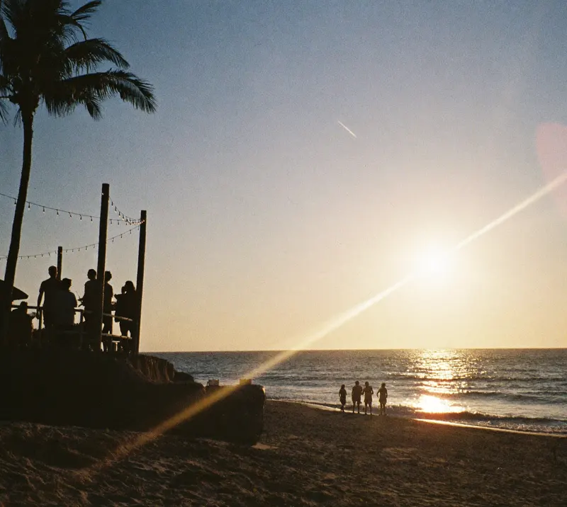 AI-generated image: sunset over the sea, guests on a beach terrace under palm trees